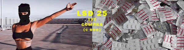 сатива Баксан