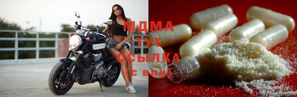 шишки Арсеньев