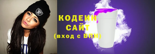 шишки Арсеньев