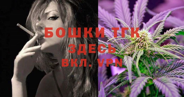 шишки Арсеньев