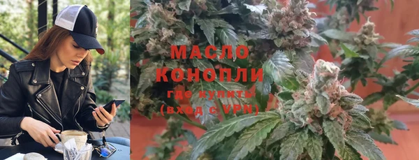 шишки Арсеньев