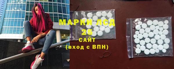 шишки Арсеньев