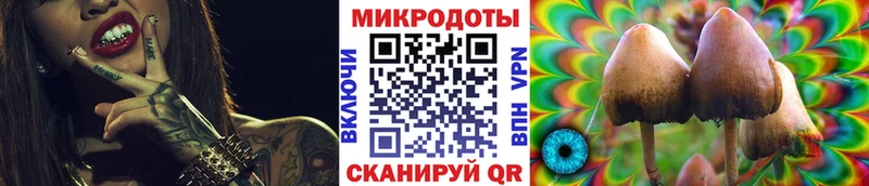 Псилоцибиновые грибы MAGIC MUSHROOMS  купить наркоту  Кремёнки 
