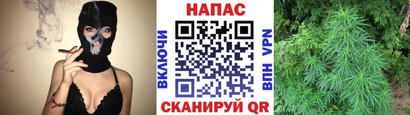 как найти закладки  Кремёнки  Конопля индика 